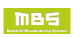 mbs